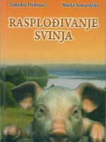 Rasplođivanje svinja