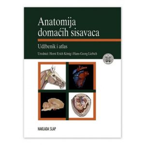 Anatomija domaćih sisavaca