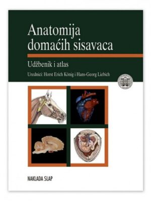 Anatomija domaćih sisavaca